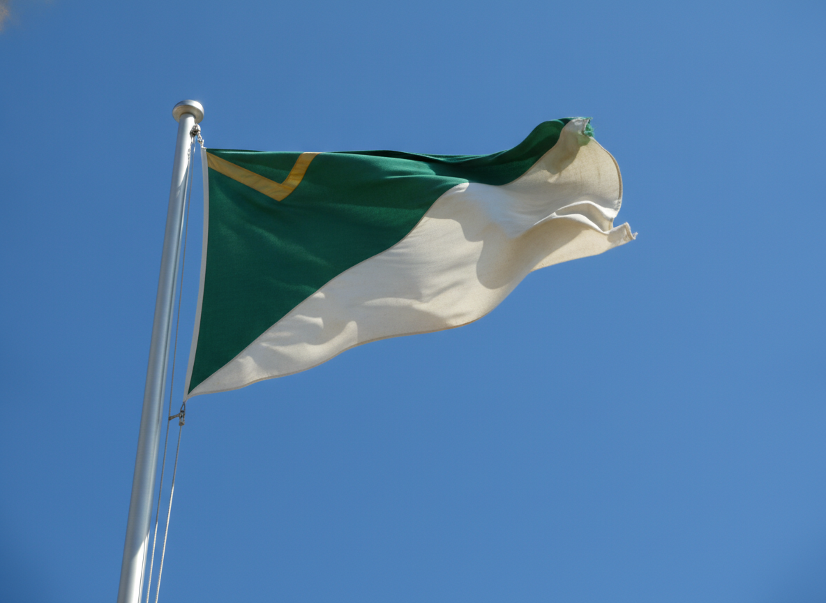 AI flag design generator result: a forest green and off-white flag split corner to corner with a flat gold chevron near the hoist, flying from a silver pole against blue sky with the fly end curled back into folds
